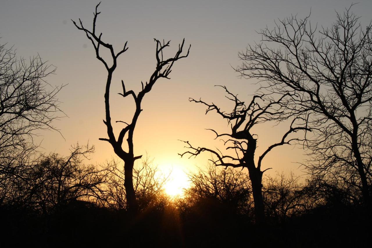 Thuhlo Lodge Hoedspruit Exterior foto