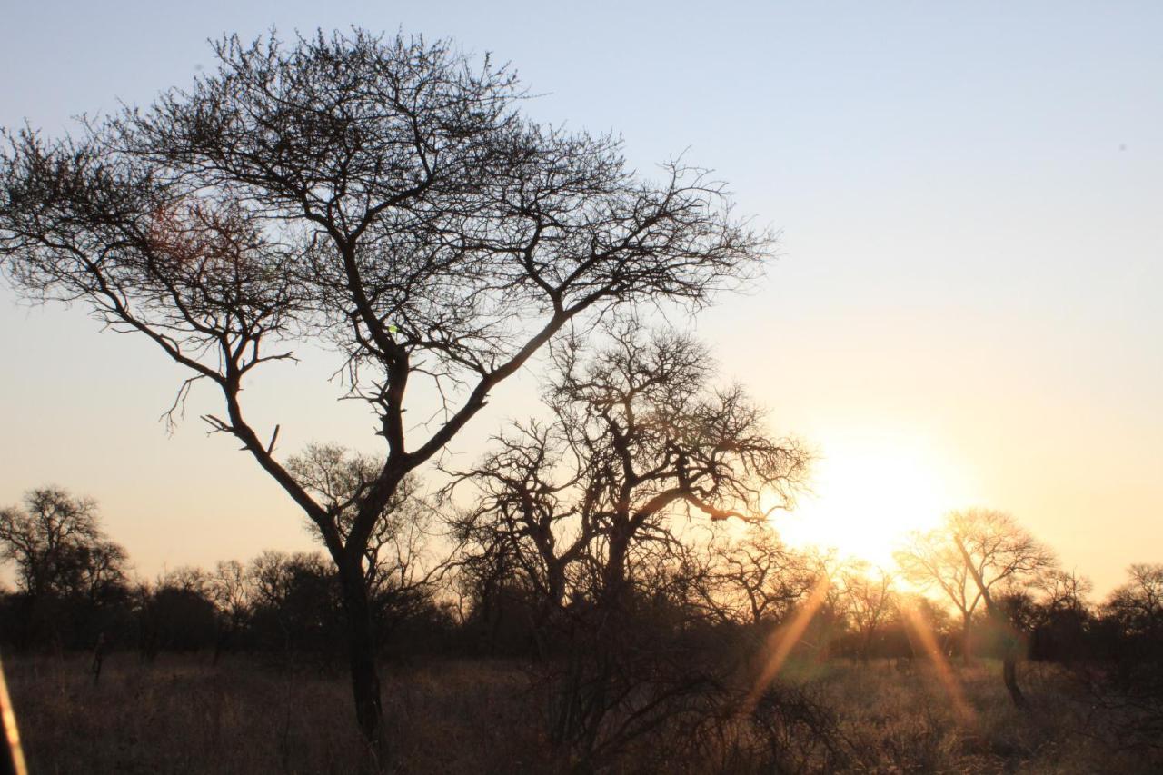 Thuhlo Lodge Hoedspruit Exterior foto