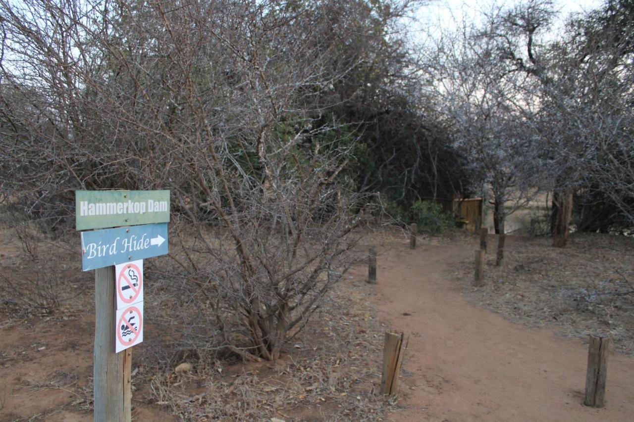 Thuhlo Lodge Hoedspruit Exterior foto