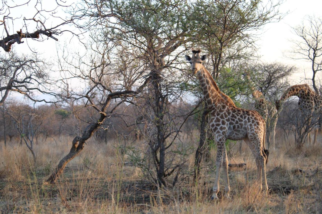 Thuhlo Lodge Hoedspruit Exterior foto