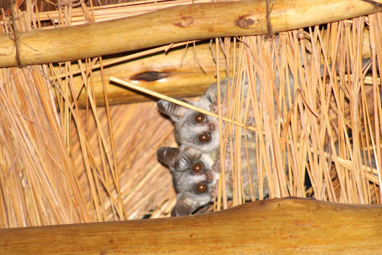 Thuhlo Lodge Hoedspruit Exterior foto